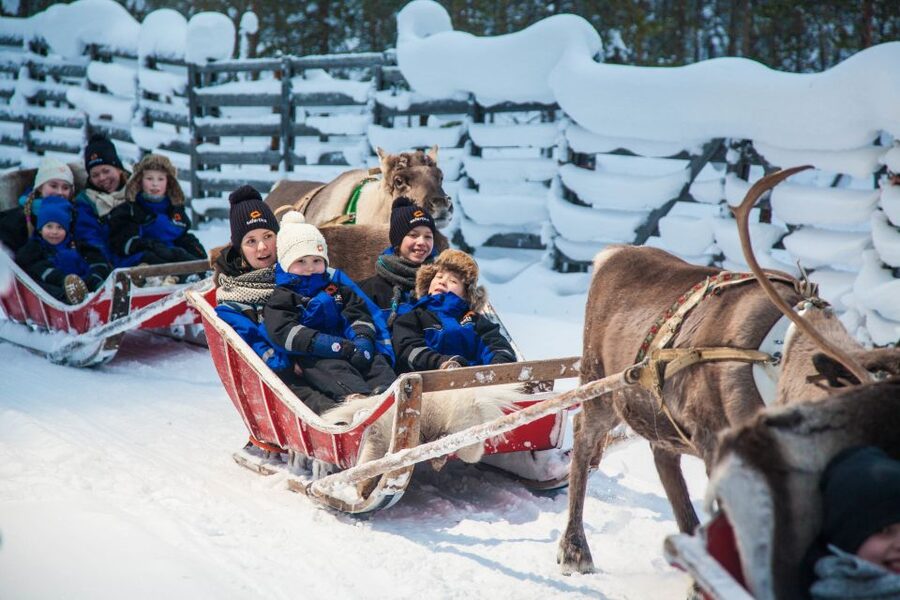 Rovaniemi: Snowmobile Safari to a Reindeer Farm - Meeting the reindeer and their herders