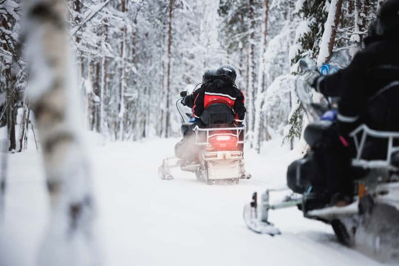 Rovaniemi: Snowmobile Tour and Reindeer Experience - Who will enjoy this outing most