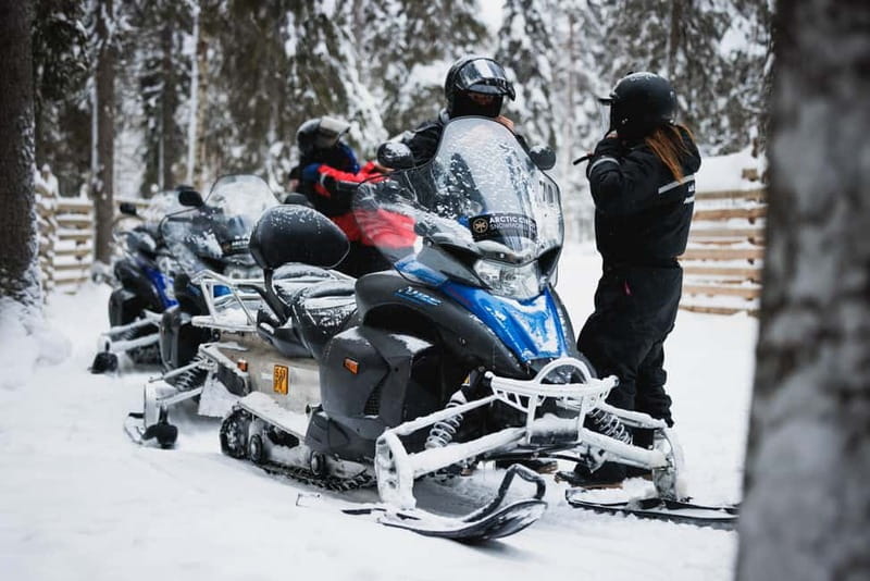 Rovaniemi: Snowmobile Tour and Reindeer Experience - Meeting the reindeer at Reindeer Manor