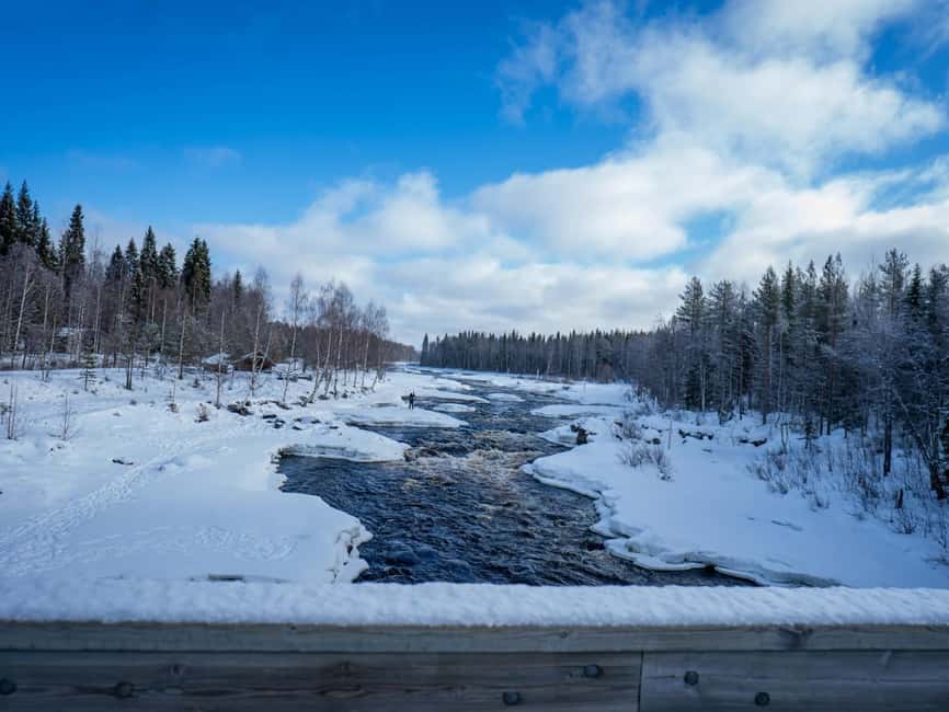 Rovaniemi: Snowshoe Adventure at Vikaköngäs & Barbeque - Who will enjoy this outing most