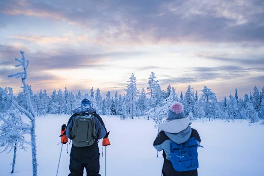 Rovaniemi: Snowshoe Wilderness Adventure - Key points before you book