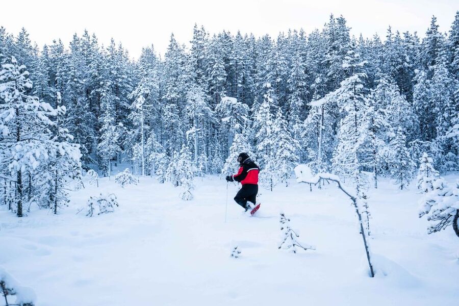 Rovaniemi: Snowshoe Wilderness Adventure - From Rovaniemi into the snowy forest