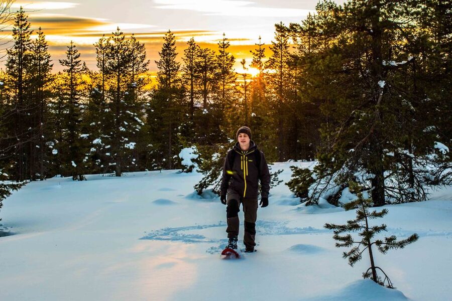 Rovaniemi: Snowshoe Wilderness Adventure - The two-hour campsite stop