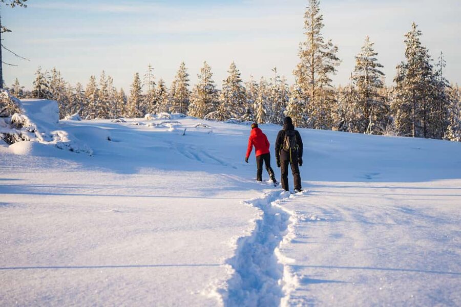 Rovaniemi: Snowshoe Wilderness Adventure - What the photography service adds