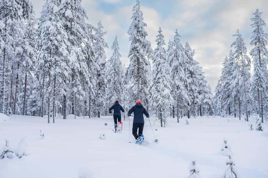Rovaniemi: Snowshoe Wilderness Adventure - Is $119 a fair price?
