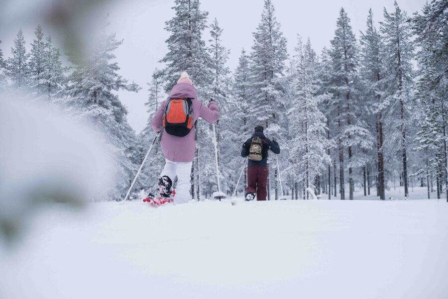 Rovaniemi: Snowshoe Wilderness Adventure - Pickup, timing, and small practical points