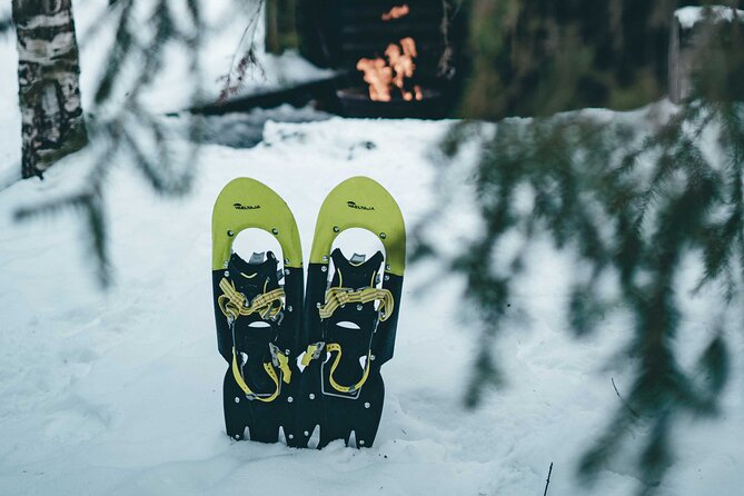 Rovaniemi: Snowshoeing in a magical snowy forest - Why this forest walk feels different