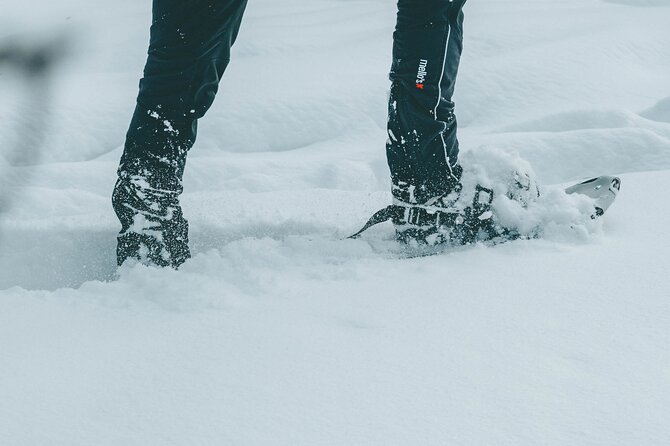 Rovaniemi: Snowshoeing in a magical snowy forest - About 1.5 hours on snowshoes