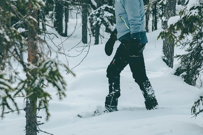 Rovaniemi: Snowshoeing in a magical snowy forest - Local stories and the personal touch