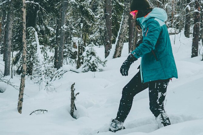 Rovaniemi: Snowshoeing in a magical snowy forest - What the $98.33 price includes in practical terms