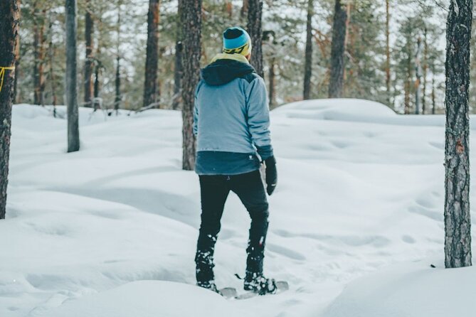 Rovaniemi: Snowshoeing in a magical snowy forest - Starting at 9:00 am near Rovaniemi