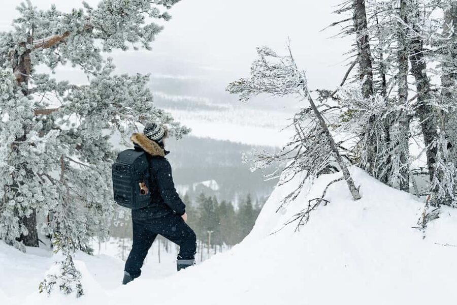 Rovaniemi: Snowshoeing in the Arctic Wilderness - Snowshoeing beyond Rovaniemi’s city streets