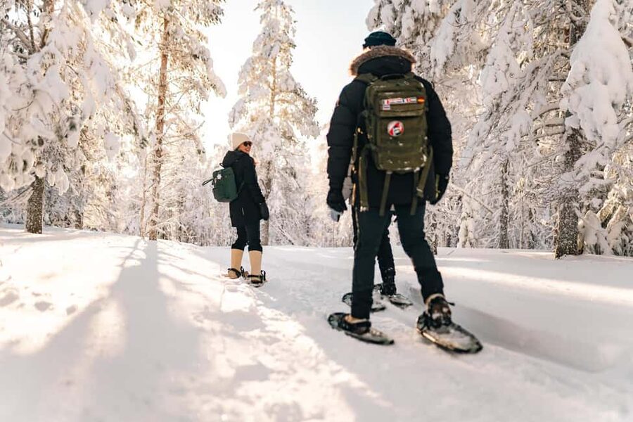 Rovaniemi: Snowshoeing in the Arctic Wilderness - The pickup sets the pace for the three hours