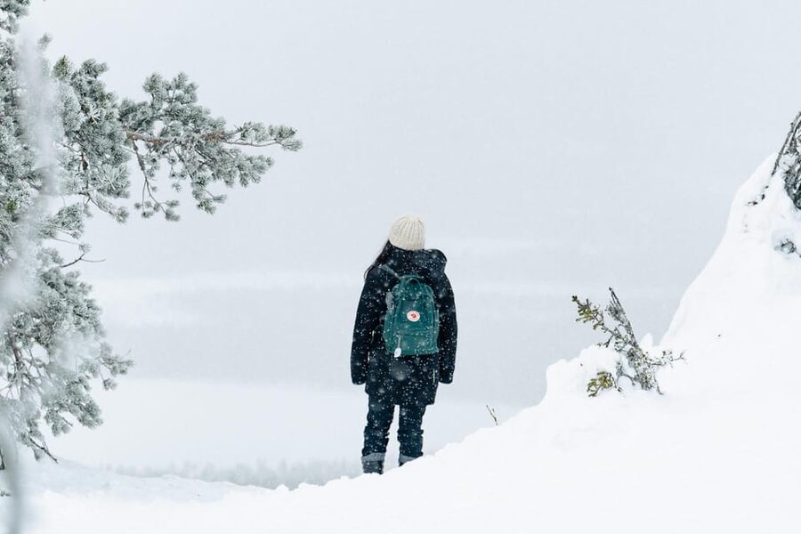 Rovaniemi: Snowshoeing in the Arctic Wilderness - Clothing can make or break the outing