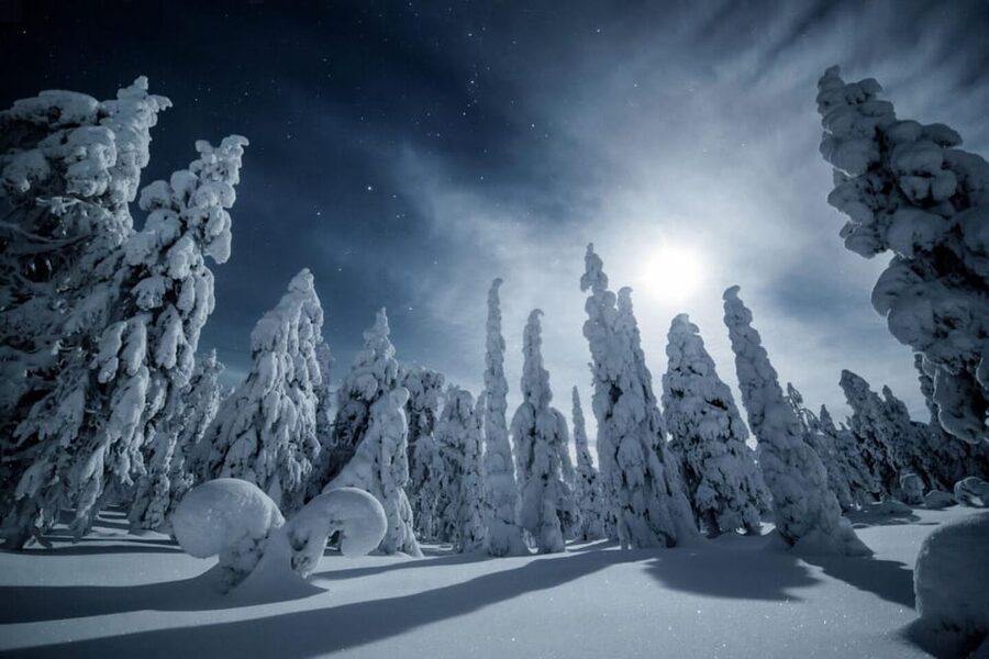 Rovaniemi: Snowy Forest Night Hike with Northern Lights - The walk matters as much as the aurora