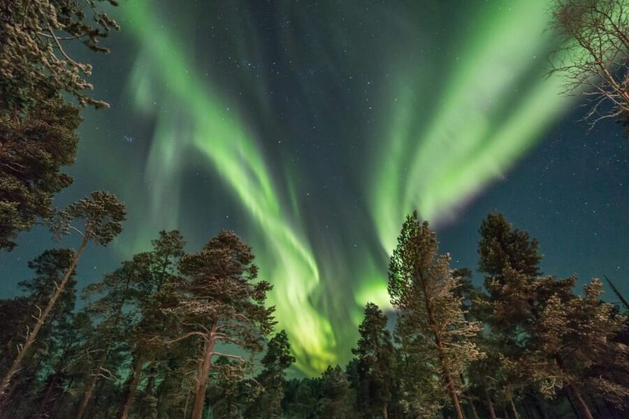 Rovaniemi: Snowy Forest Night Hike with Northern Lights - The watchtower break and panoramic views