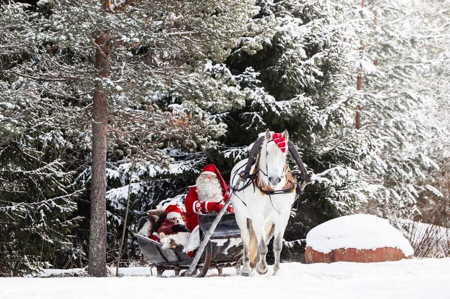 Rovaniemi: Traditional Finnhorse Sleigh Ride at SCV (3km) - A quiet alternative to huskies and reindeer