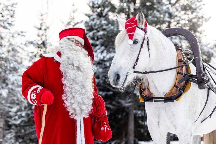 Rovaniemi: Traditional Finnhorse Sleigh Ride at SCV (3km) - The 3-kilometer sleigh route through the forest