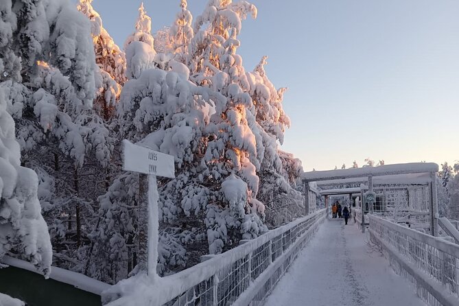 Rovaniemi: Trip to Ranua Zoo with Tickets Included - What $120.15 really buys you