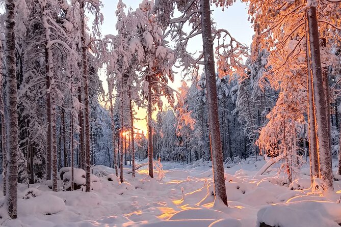 Rovaniemi: Trip to Ranua Zoo with Tickets Included - Booking details worth checking