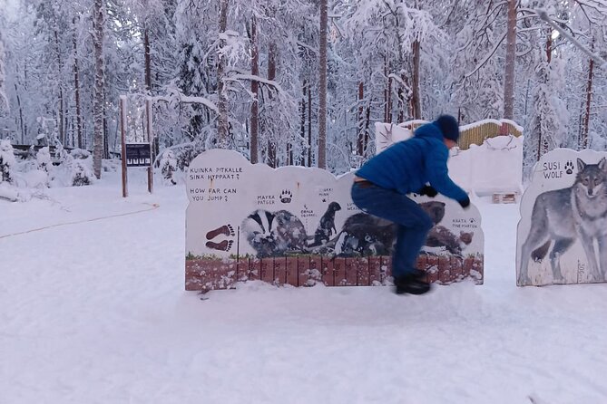 Rovaniemi: Trip to Ranua Zoo with Tickets Included - Inside the park: birds first, Arctic animals next