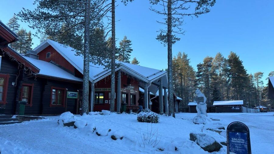 Rovaniemi: trip to the Ranua Zoo (transportation, tickets) - Arctic mammals to look for