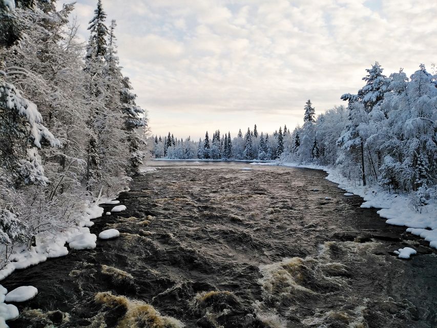 Rovaniemi: Vaattunki Hiking Arctic Circle Trail - Who should book this Arctic Circle hike?