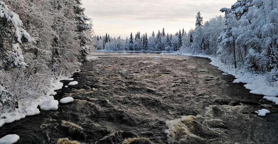 Rovaniemi: Vaattunki Hiking Arctic Circle Trail - What the guide adds to a simple nature walk