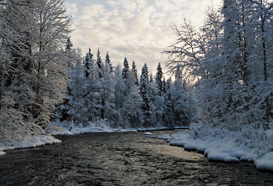 Rovaniemi: Vaattunki Hiking Arctic Circle Trail - How accessible and family-friendly is it?