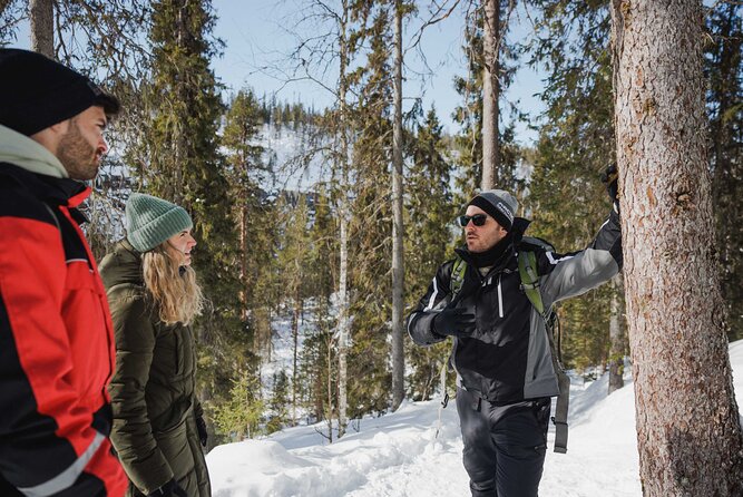 Rovaniemi - Visit to The Frozen Waterfalls of Korouoma - Walking the Koronjää trail past three icefalls