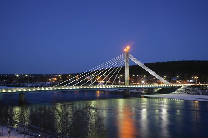 Rovaniemi walking tour and guided Arktikum experience - The value of a private group price of $261.06