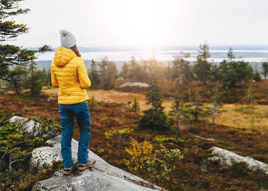 Rovaniemi: Wild Moose Safari - Searching for Finland’s King of the Forest