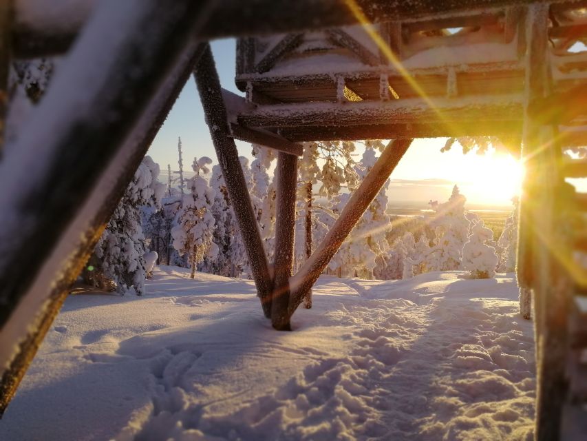 Rovaniemi: Wilderness Tour - Who gets the best value from this tour