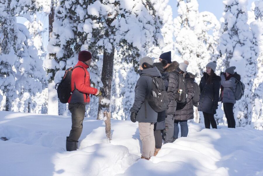 Rovaniemi: Wilderness Tour - A short way into Lapland’s wild side