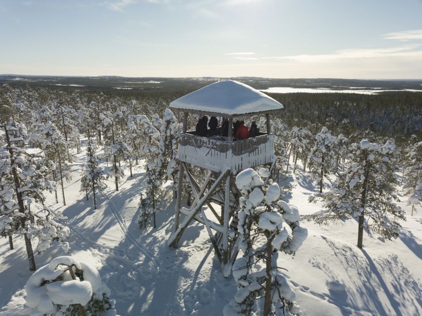 Rovaniemi: Wilderness Tour - The forest walk and its gentle pace