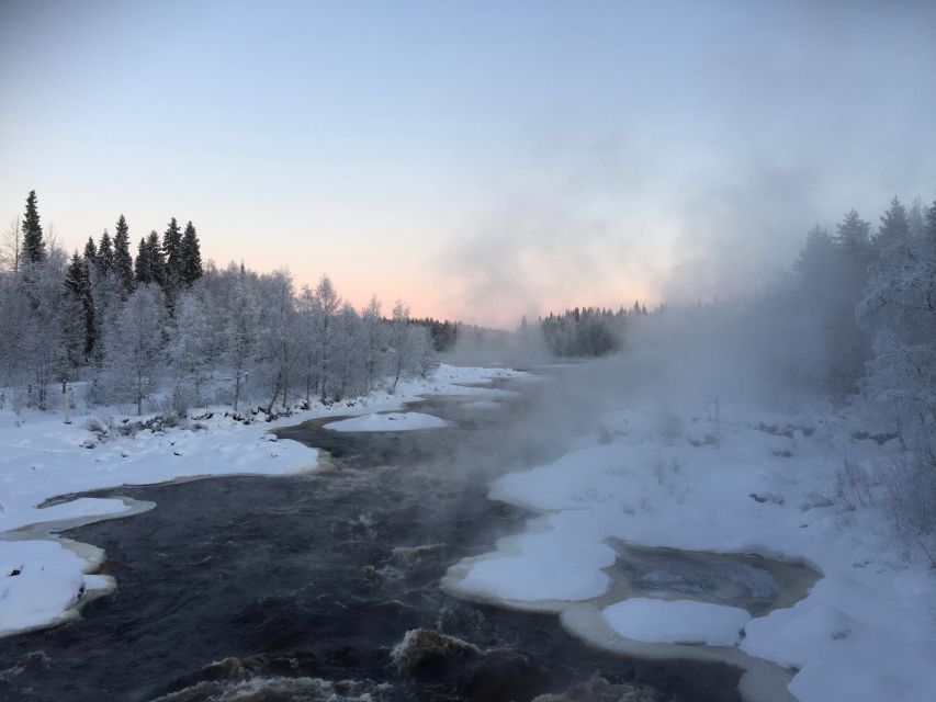 Rovaniemi: Wilderness Tour - Campfire snacks and a warm pause