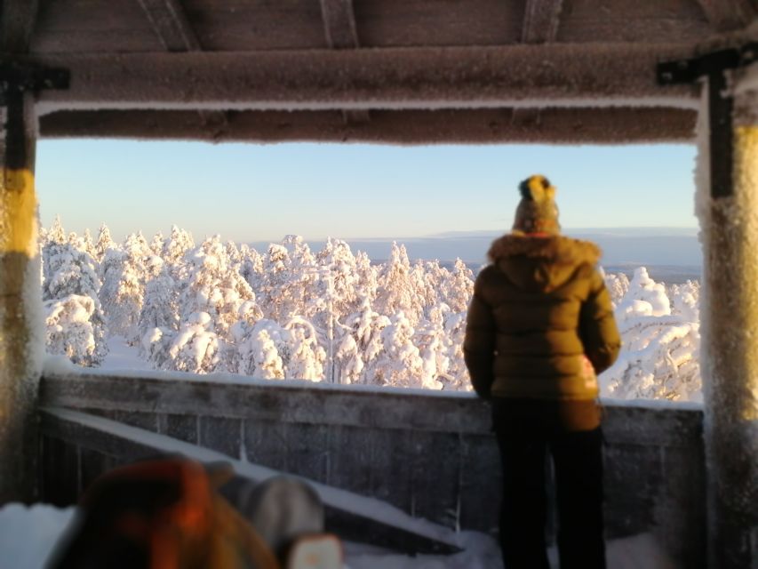 Rovaniemi: Wilderness Tour - Summer brings a different kind of beauty