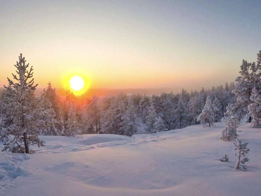 Rovaniemi: Wilderness Tour - Getting there, timing, and what to wear