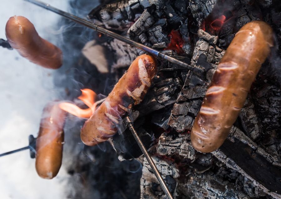 Rovaniemi: Wilderness Tour - Winter forests, frozen trees, and animal clues