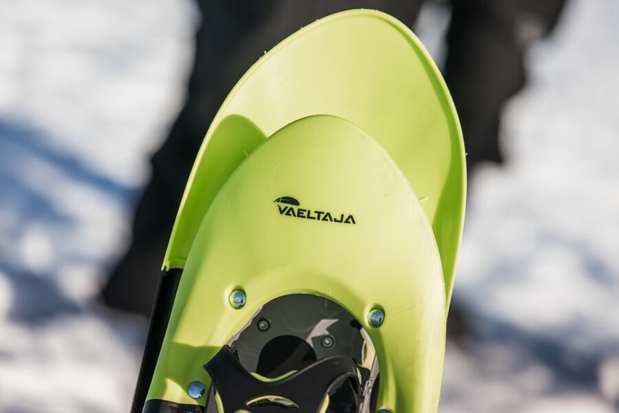 Rovaniemi: Winter Wilderness Snowshoeing Trip - Key points to know before you book