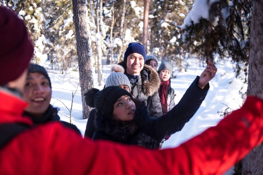 Rovaniemi: Winter Wilderness Snowshoeing Trip - Old forests, frozen swamps, and lakes