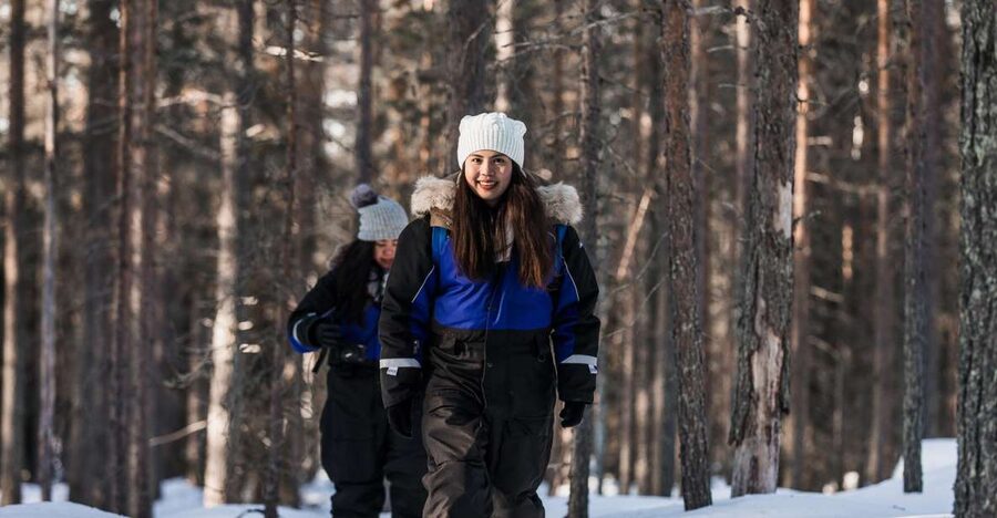 Rovaniemi: Winter Wilderness Snowshoeing Trip - Transport and meeting point details