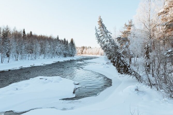 Rovaniemi: Winter Wonderland Vikaköngäs Hiking Tour & BBQ - Leaving Rovaniemi for Vikaköngäs