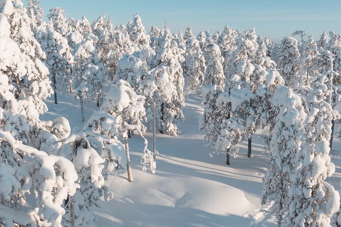 Rovaniemi: Winter Wonderland Vikaköngäs Hiking Tour & BBQ - What happens if winter conditions change the plan