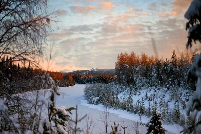 Rovaniemi: Winter Wonderland Vikaköngäs Hiking Tour & BBQ - The guides shape the day