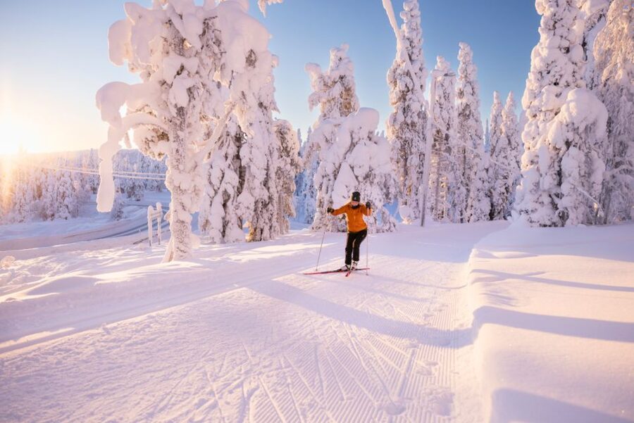 Ruka: Cross-country skiing - Meeting at Safarihouse or arranging a pickup