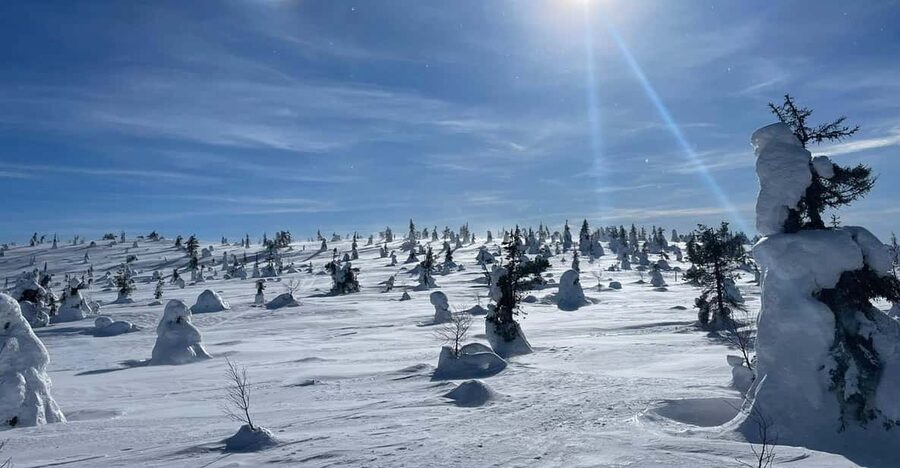 Ruka: Riisitunturi National Park with lunch. - Key points to know before you book