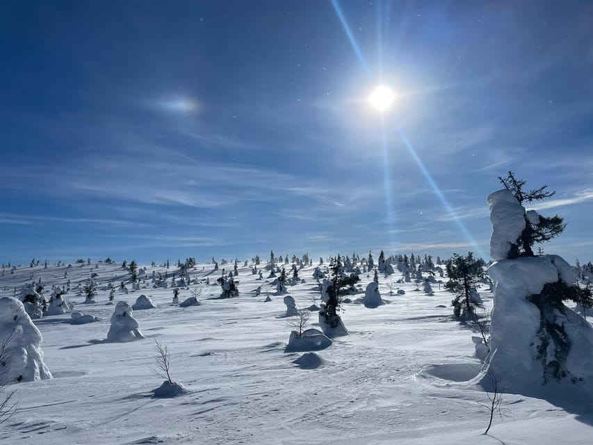 Ruka: Riisitunturi National Park with lunch. - From Ruka to Riisitunturi by minivan