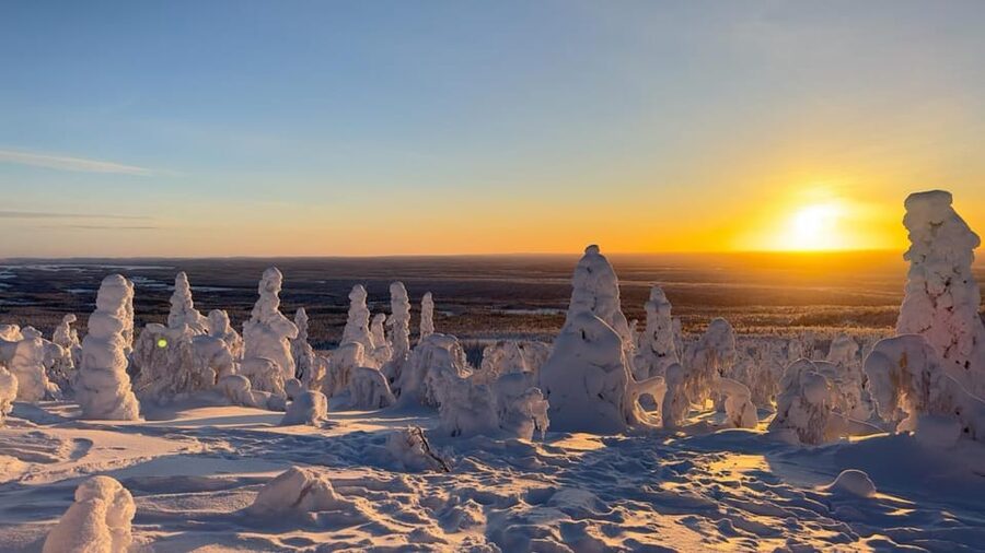 Ruka: Riisitunturi National Park with lunch. - Walking through one of Lapland’s national parks