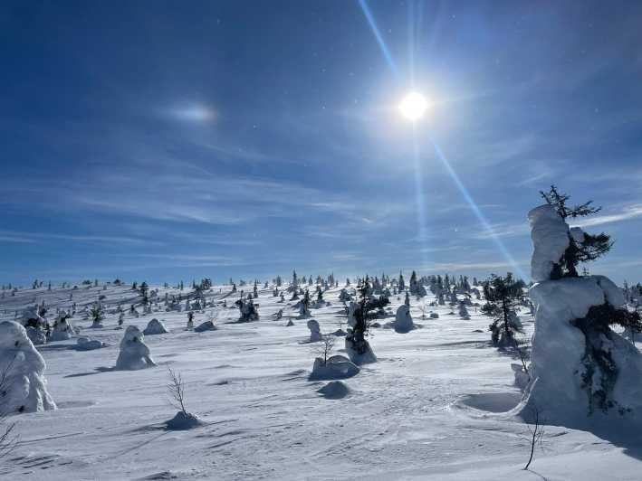 Ruka: Riisitunturi National Park with lunch. - Mindfulness pauses with Tuulia